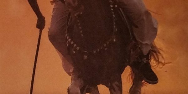 Equisterian Sargodha Punjab