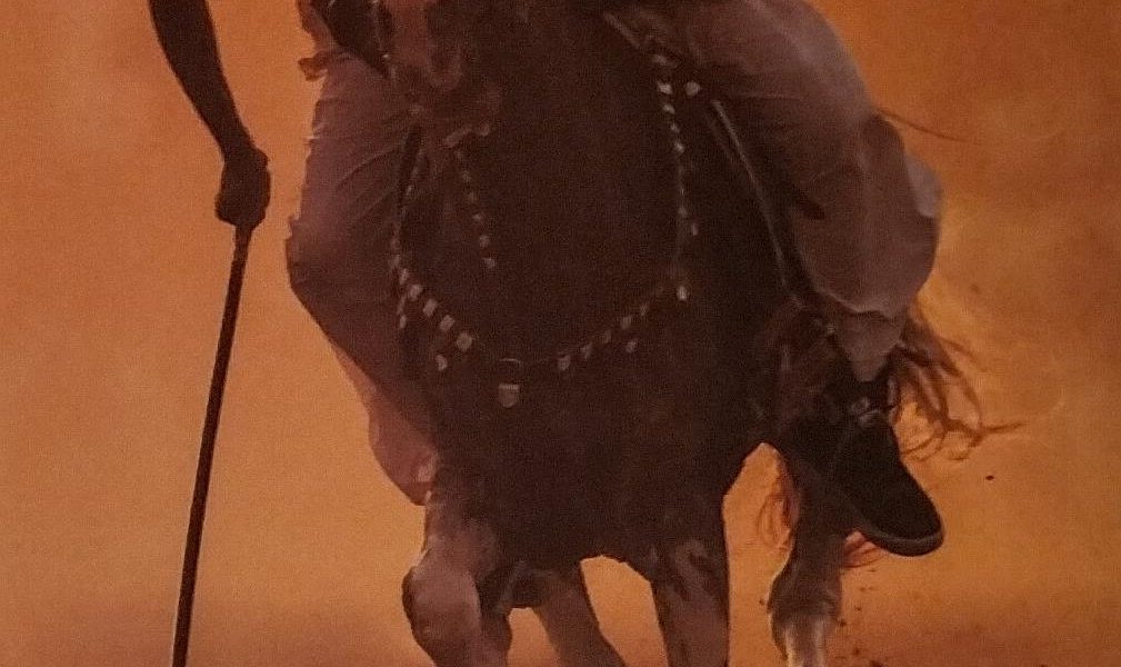 Equisterian Sargodha Punjab 1