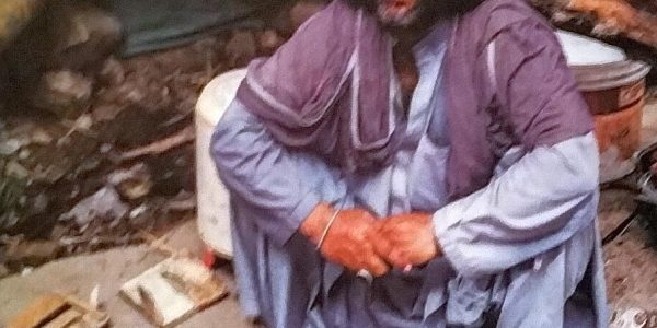 Green Tea Nagarparkar Sindh