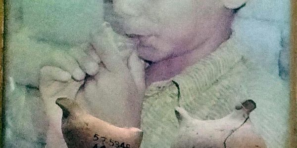 Harrappa Whistles Museum