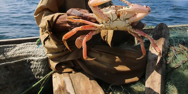 I Caught Crabs In Karachi