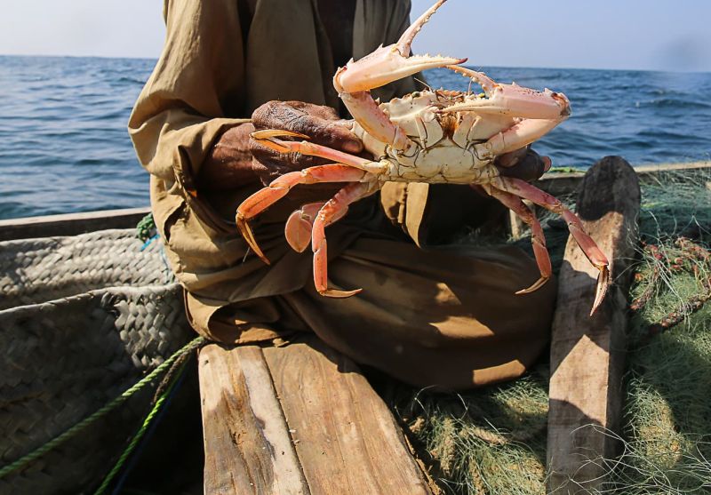 I Caught Crabs In Karachi