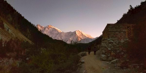 Fairy Meadows Walk