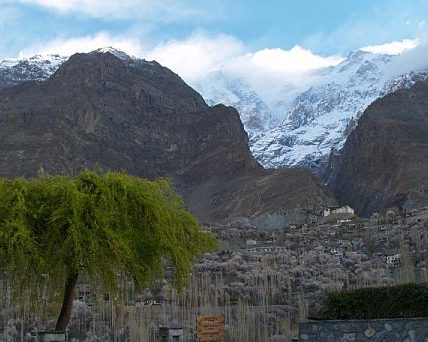 Hunza Apricot Blossom Tour