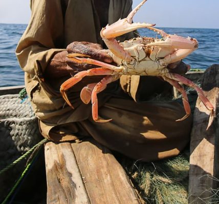I Caught Crabs In Karachi 1