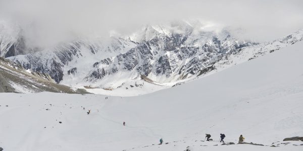Img 1786654717
