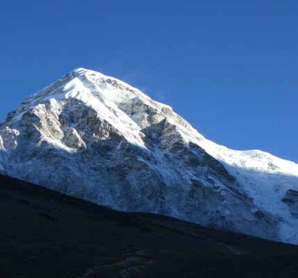Img 1787600403