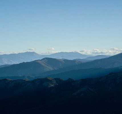 Img 1792343914